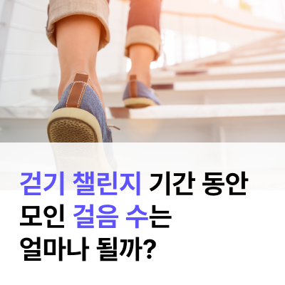  걷기 챌린지 기간동안 얼마나 많은 걸음 수가 모였을까? | 계단 1칸에 수명 연장 4초 정말일까요?