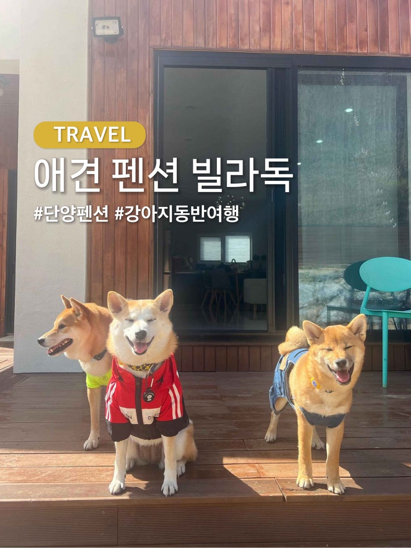 사진 2