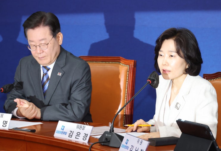 김은경 나이 교수 프로필 혁신위원장 결혼 남편 자녀 가족 고향 재산 김은경 나이 교수 프로필 혁신위원장 결혼 남편 자녀 가족 고향 재산