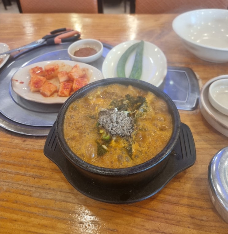  수영일기 2일차