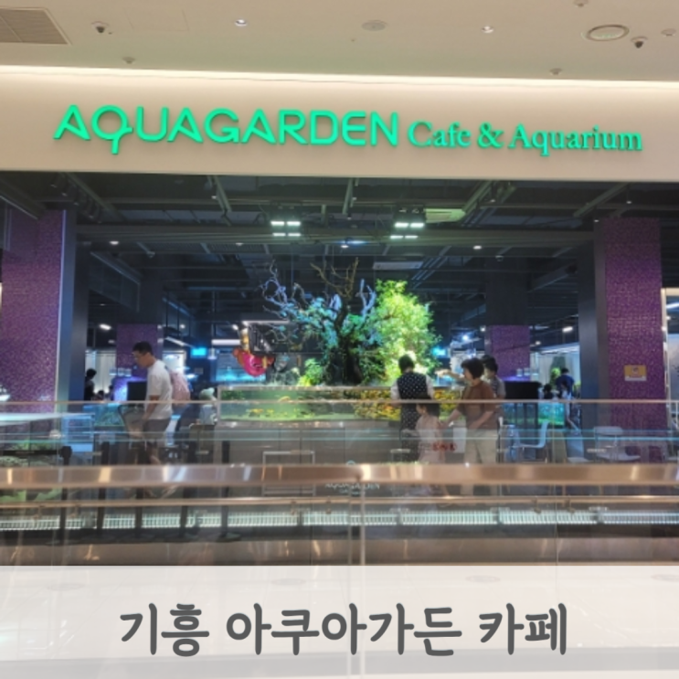  아쿠아가든 기흥 리빙센터 아기와 가기 좋은 물고기 카페