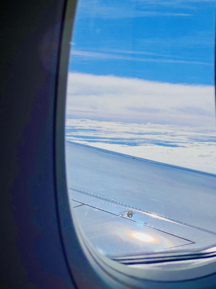  [일본 여행] 후쿠오카 공항 비짓재팬 입국심사 Visit Japan wep 하는 방법