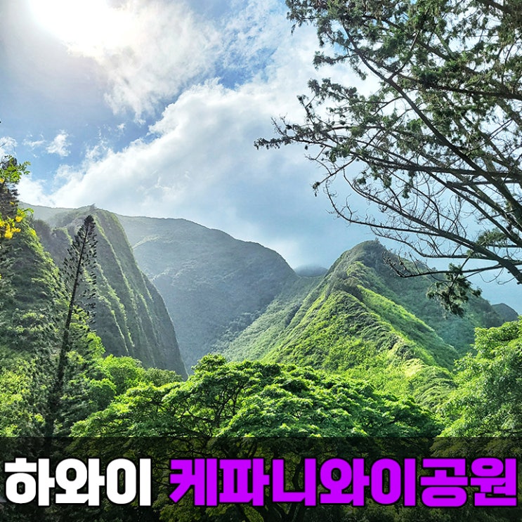 [하와이] 패키지 여행 코스 마우이 투어 케페니와이 한국 공원