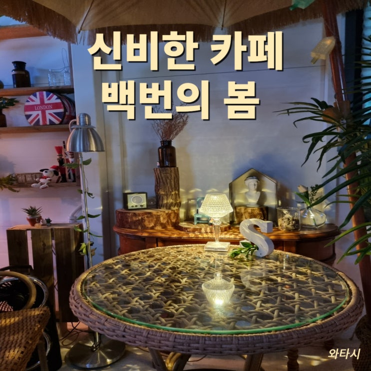  [태백카페] '백번의 봄' 미국 캐릭터들이 즐비한 신비한 카페