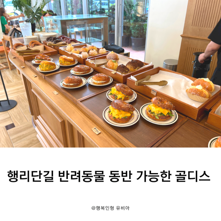  행리단길 신상카페 도넛 앤 브런치 골디스 반려동물 동반 가능