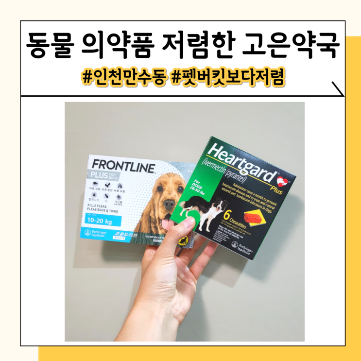 만수동 고은약국에서 반려견 구충약 직구보다 싸게 사왔어요 만수동 고은약국에서 반려견 구충약 직구보다 싸게 사왔어요