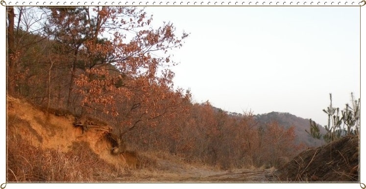 노승산 사진 3
