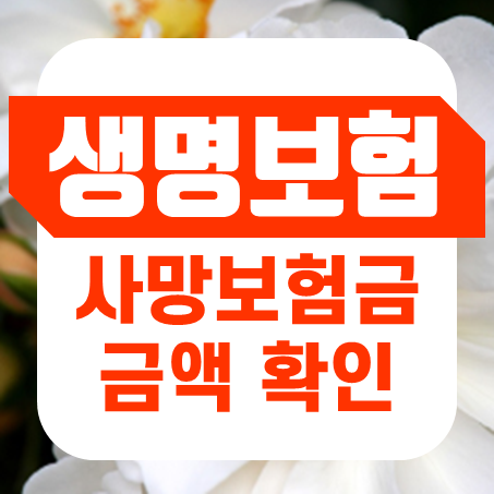  생명보험금액 얼마인지 사망보험금 금액 바로 확인할 수 있어요.