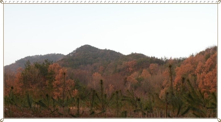 노승산 사진 4