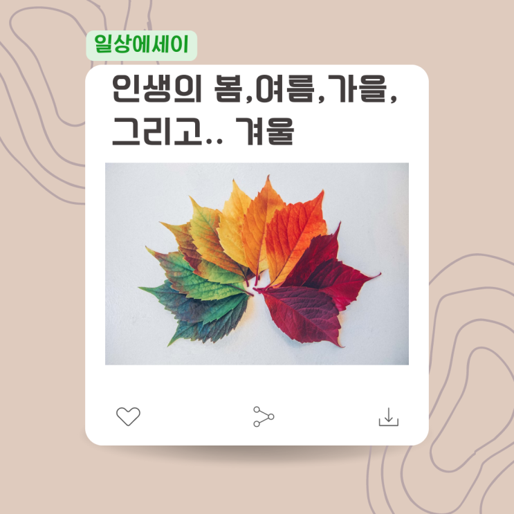  [일상 에세이] 인생의 봄, 여름, 가을, 그리고.. 겨울