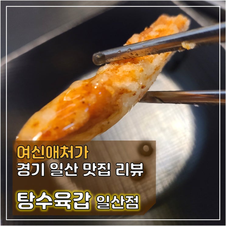  기본에 충실한 맛집 탄현탕수육,탕수육갑 일산점