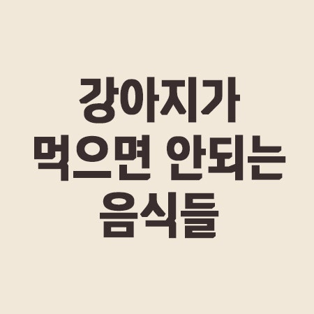  강아지가 먹으면 안되는 음식들 8가지