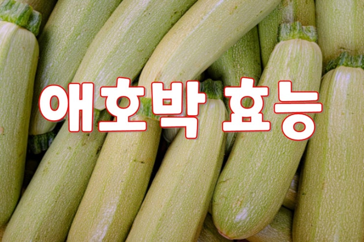  애호박 효능 : 영양만점 밥상 위에 자주 올라오는 만능 채소이자 우리 몸에 이로운 작용까지 하는!