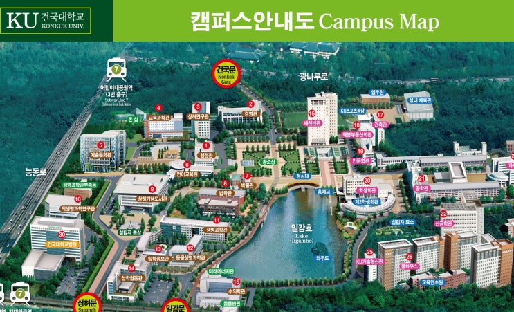 2024학년도 건국대학교 수시 논술전형 가이드
