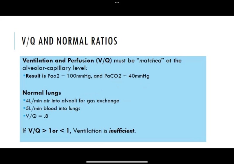 V/Q mismatch 환기관류 공부하기 : 네이버 블로그