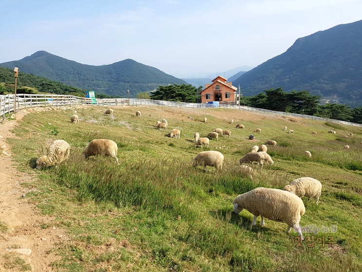  2017년 7월~9월 일상기록 / 한국인터넷진흥원 나주 청사 개청, 무등산양떼목장, 코인네스트, 대명리조트 소노벨 천안, 순천만국가정원, 호수정원공연장, 이더리움 채굴