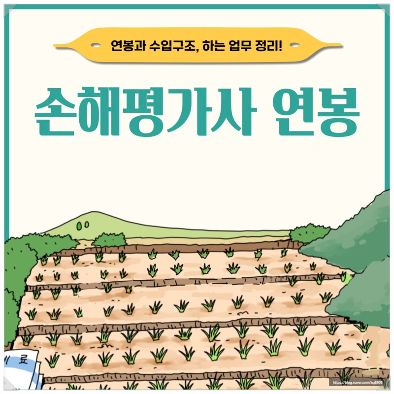 손상 평가자 수입 구조 및 연봉 요약 2