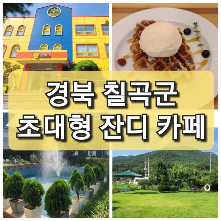 경북 칠곡 대형 잔디  "포즈카페" 애견 카페