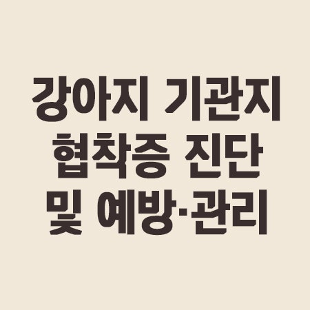 강아지 기관지협착증 증상, 켁켁 컹 거위소리, 엑스레이 검진 판독, 노화.