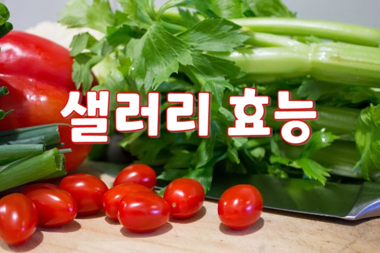 샐러리 효능 : 아삭아삭한 식감과 독특한 향을 지닌 채소, 알고 먹어야 더욱 유익해요!