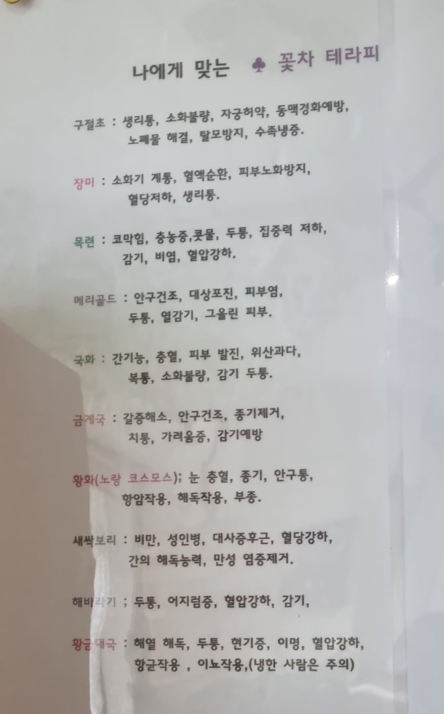 산아래 꽃차 사진 5