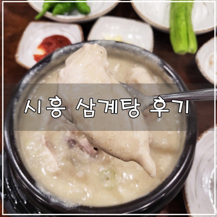  [시흥 삼계탕 맛집] | 내돈내산 후기 단일 메뉴가 인상 적 이었던 "예담 들깨 삼계탕"
