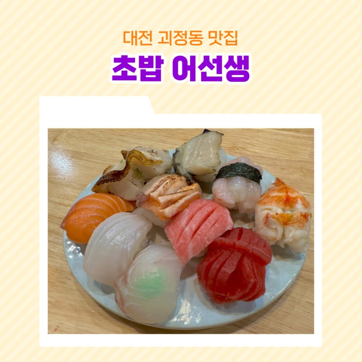  대전 괴정동 초밥어선생 어선생추천초밥 오늘의초밥