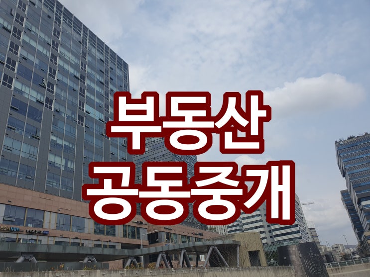  부동산 공동중개 계약과 중개수수료 지급방법