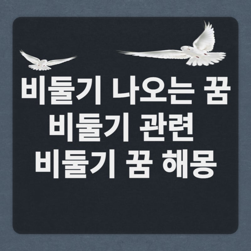 비둘기 나오는 꿈 비둘기 날아가는 꿈 죽는꿈 하얀비둘기 비둘기꿈 해몽 길몽 흉몽