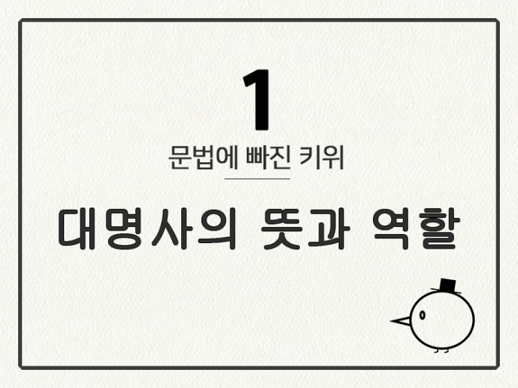  [영어 기초 문법] 대명사 #1 뜻과 역할