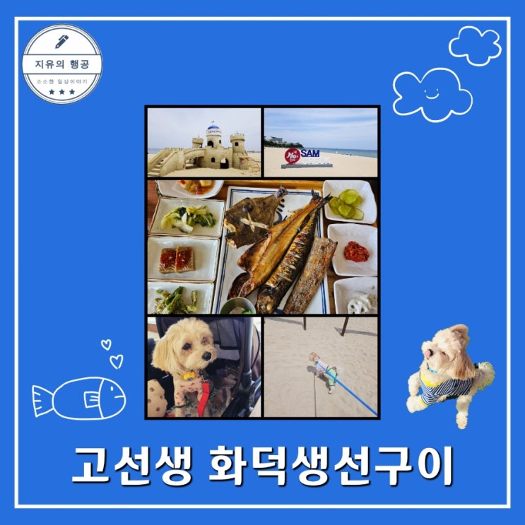  고선생 화덕생선구이 삼척 해수욕장 애견동반 맛집 내돈내산