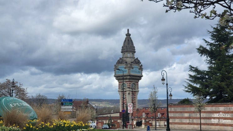  랭스(Reims)와 에페르네(Épernay) 여행 6 : 에페르네 시내 구경 및 마르(Marc) 구입