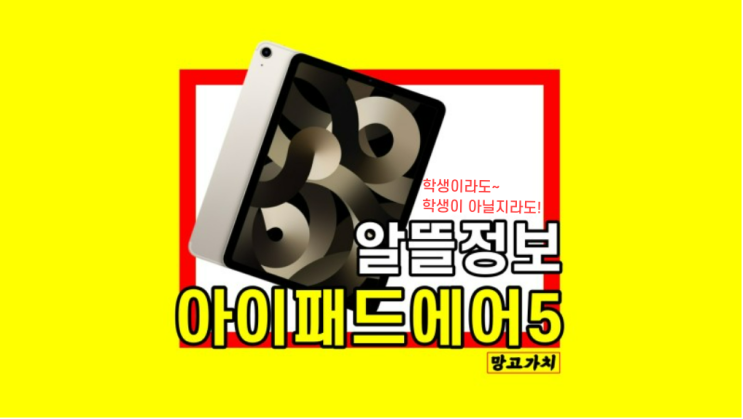 아이패드 에어5세대 애플펜슬 학생 교육 할인 저렴 싸게사는법 아이패드 에어5세대 애플펜슬 학생 교육 할인 저렴 싸게사는법