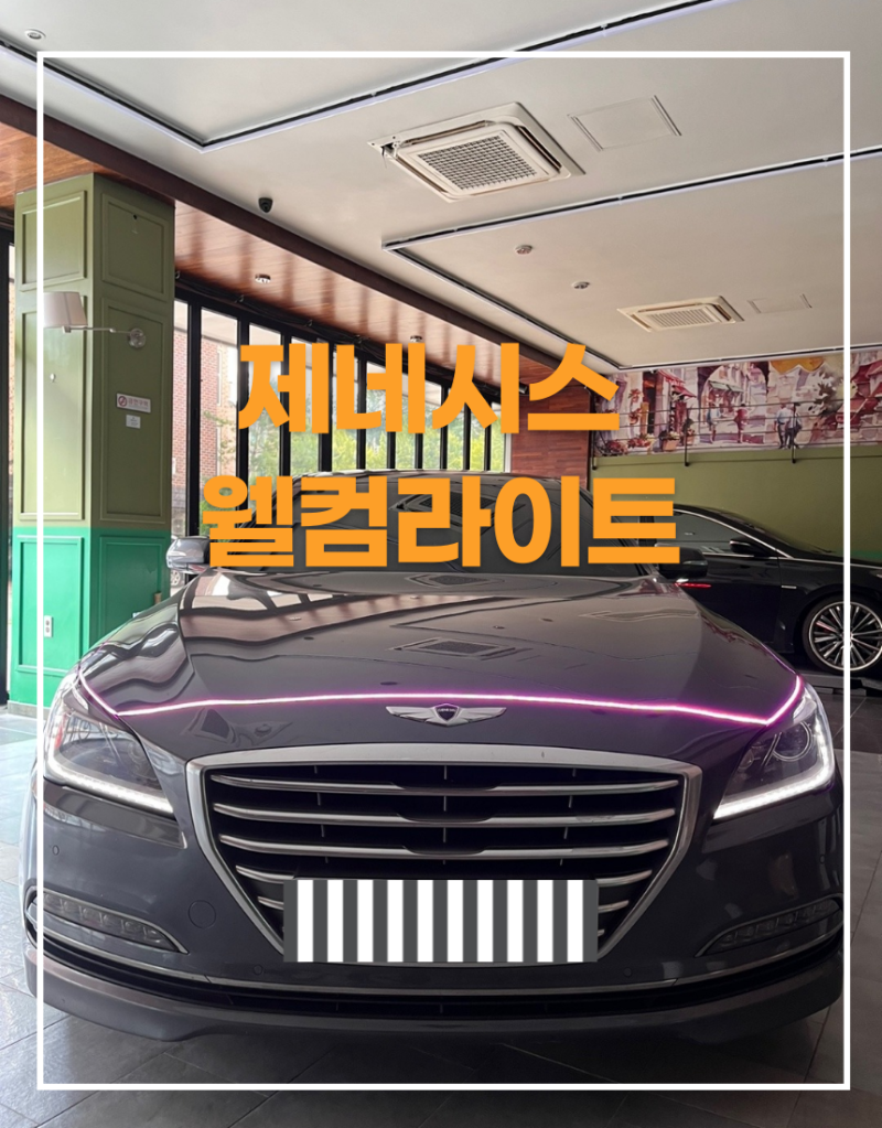 전주 / 엠비언트 / 제네시스 / G80