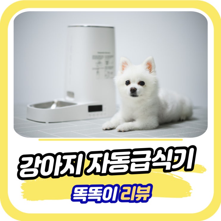  강아지 자동급식기 로제코 버튼형 4L 사용 후기