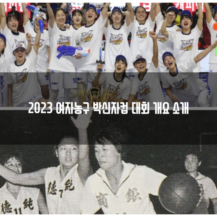 여자농구 <b>박신자컵</b> 일정, 장소, 참가팀, 해외 초청팀, <b>대회</b>... 