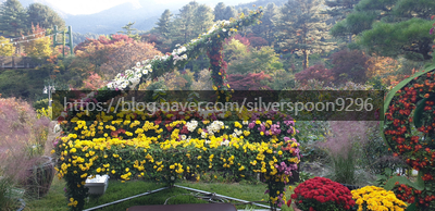  서울근교 가볼만한곳 아침고요수목원 산책하기좋은곳