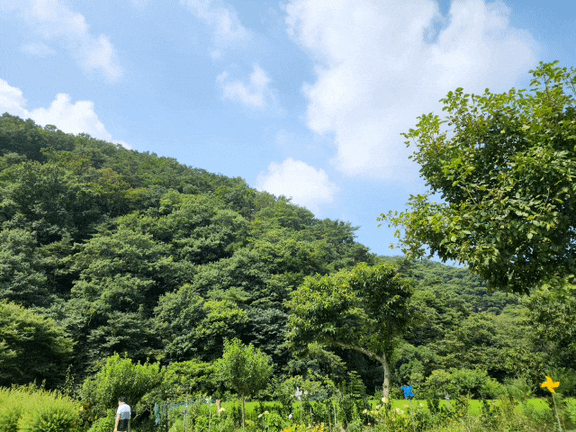  충남 세종근교 공주 계곡 원더팜