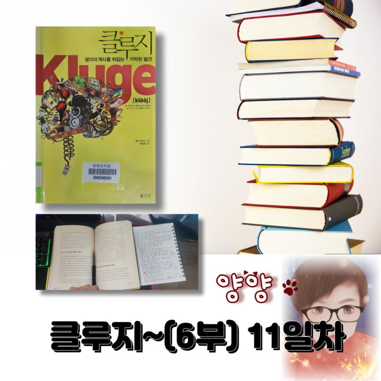  클루지~(6부) 11일차