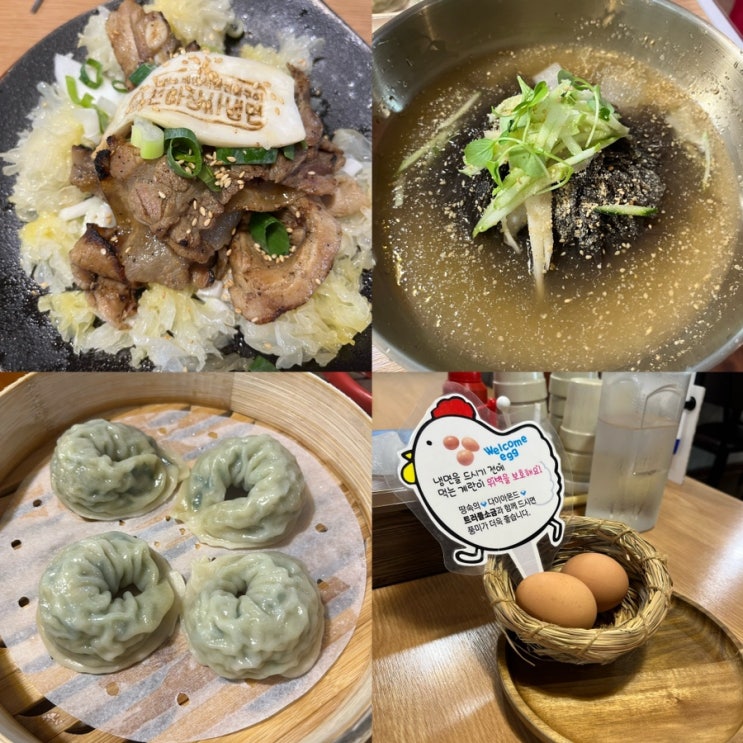  청주 용암동 맛집 ‘천하장사 세숫대야 냉면’ 맥반석 삼겹살 구이에 만두는 덤!c+해장냉면
