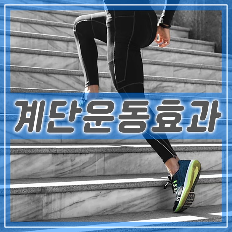 계단 운동 효과와 계단 오르기 운동 방법