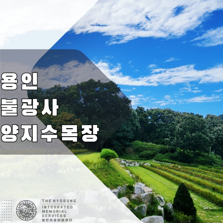  외동 따님의 신중한 선택으로 동탄 한림대에서 양지수목장으로 결정하여 잘 모셨습니다.