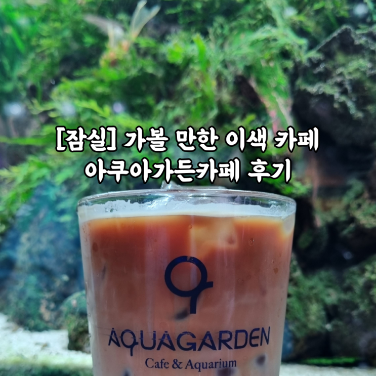  [내돈내산/잠실] 가볼 만한 이색카페 '아쿠아가든카페' 후기