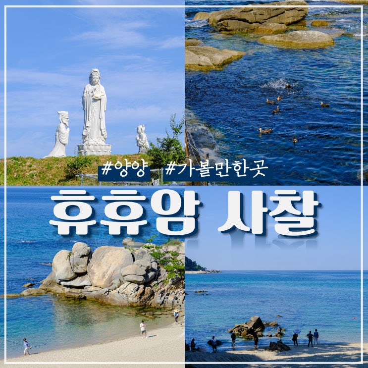 양양 휴휴암 황어 물고기 구경 (ft. 주차)