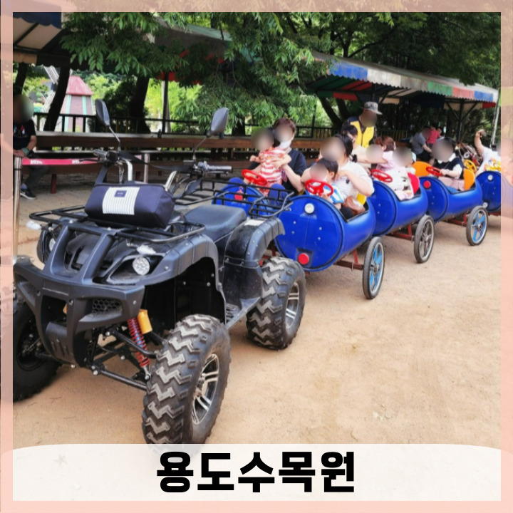  서울 근교 아이랑 산책하기 좋은 곳 시흥 용도수목원