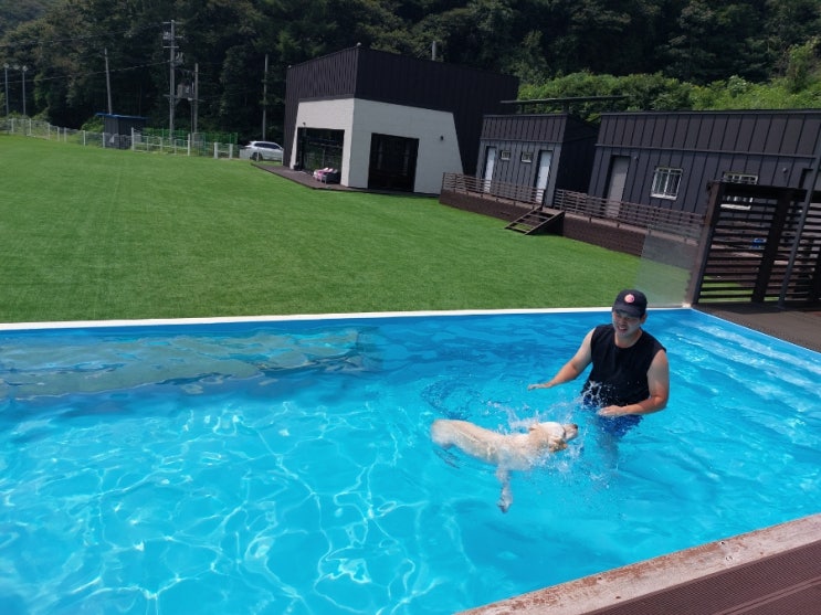 양주 멍풀: 반려견 독채 수영장 넓은 잔디밭 프라이빗 풀멍 수영장 양주 반려견 수영장 양주 멍풀: 반려견 독채 수영장 넓은 잔디밭 프라이빗 풀멍 수영장 양주 반려견 수영장
