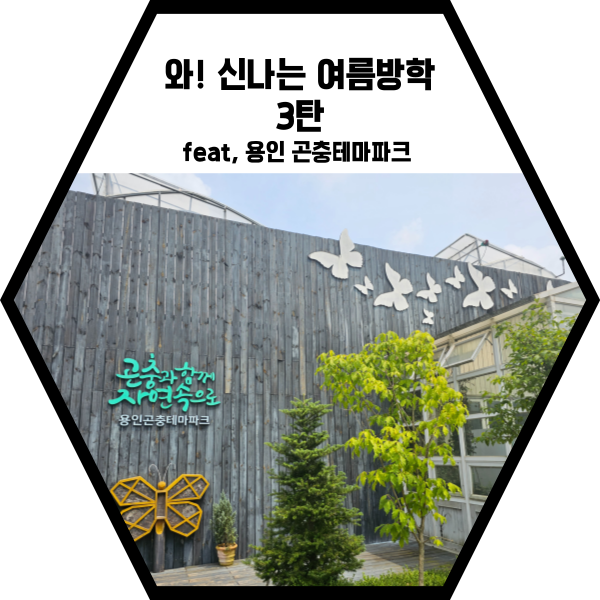  와~~ 신나는 여름방학!!(3탄)