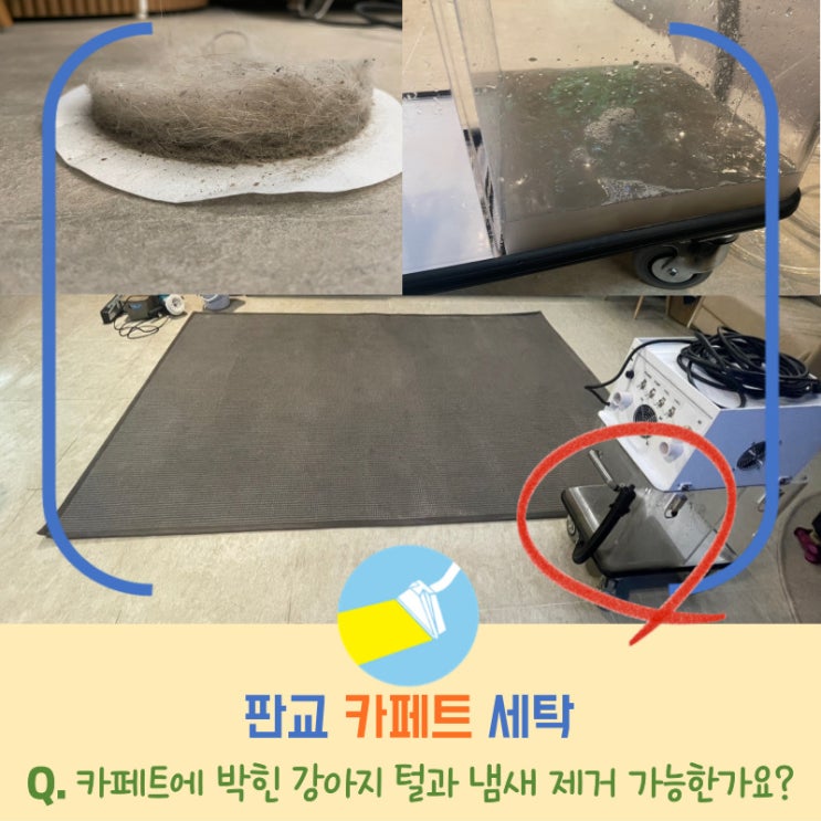  판교 카페트 세탁, 침구청소기 대신 침구용브러쉬(침구용헤드) 구입하세요:)