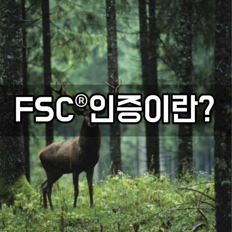 FSC 인증이란 무엇인가요? 지속 가능한 숲 관리를 위한 중요한 인증제도