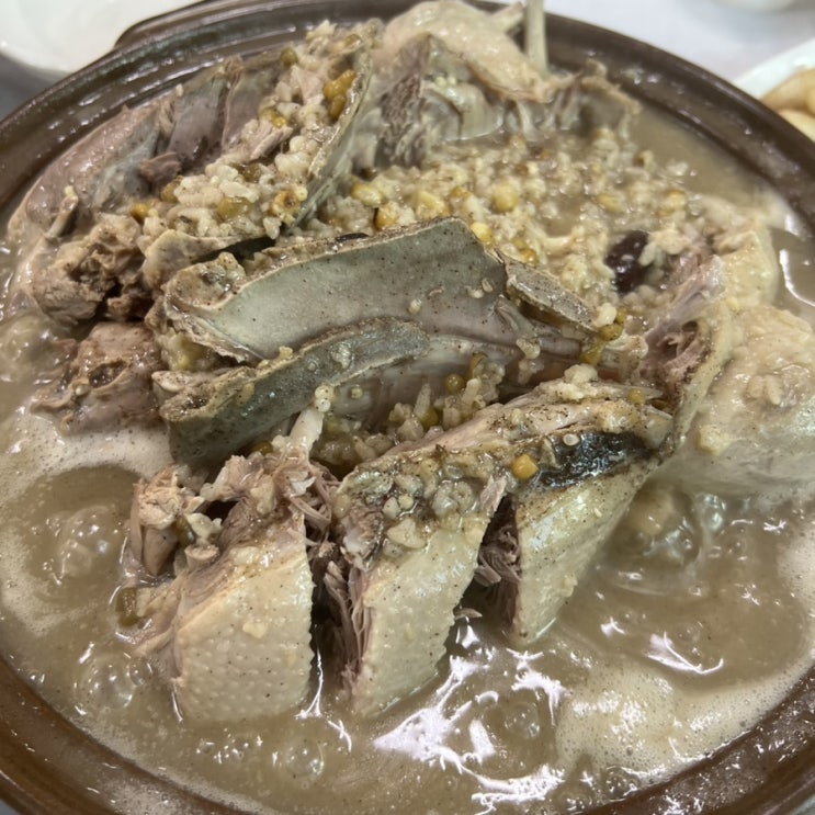  [대전] "수통골 장수오리" 누룽지 오리백숙